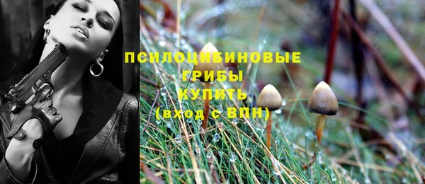 молекула духа Абаза