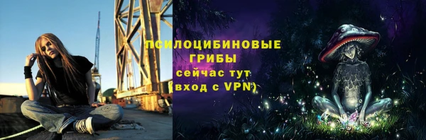 молекула духа Абинск