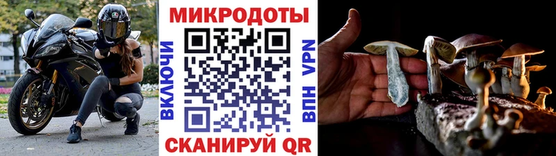 Галлюциногенные грибы мухоморы  Лодейное Поле 