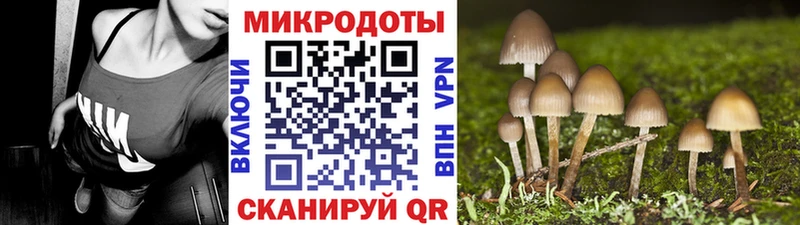 Псилоцибиновые грибы Magic Shrooms Лодейное Поле